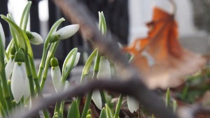 прогноза за времето