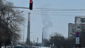 zima