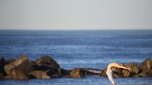 медитация и йога