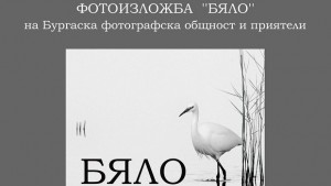 бяло
