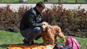 пролет момче куче