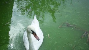 зоопарк добрич