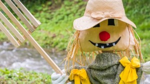 Бостанско плашило