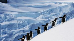 България е поставила началото на научните си походи до Антарктида