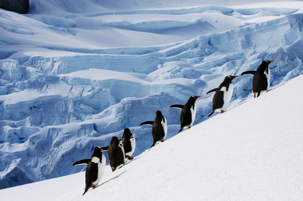 България е поставила началото на научните си походи до Антарктида