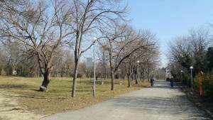 Морска градина