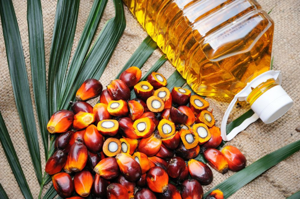палмово масло