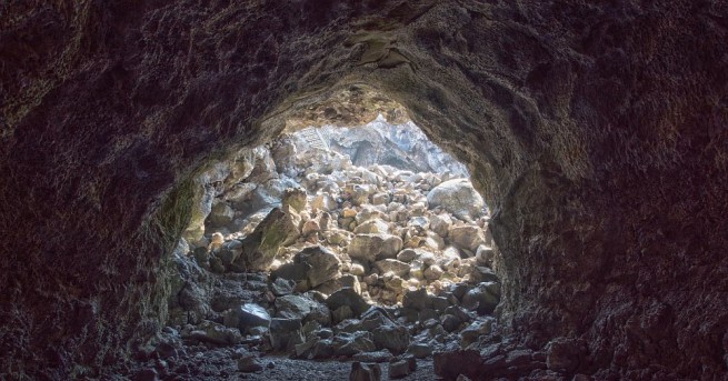 Частица от динозавър открита в България е единственото свидетелство което