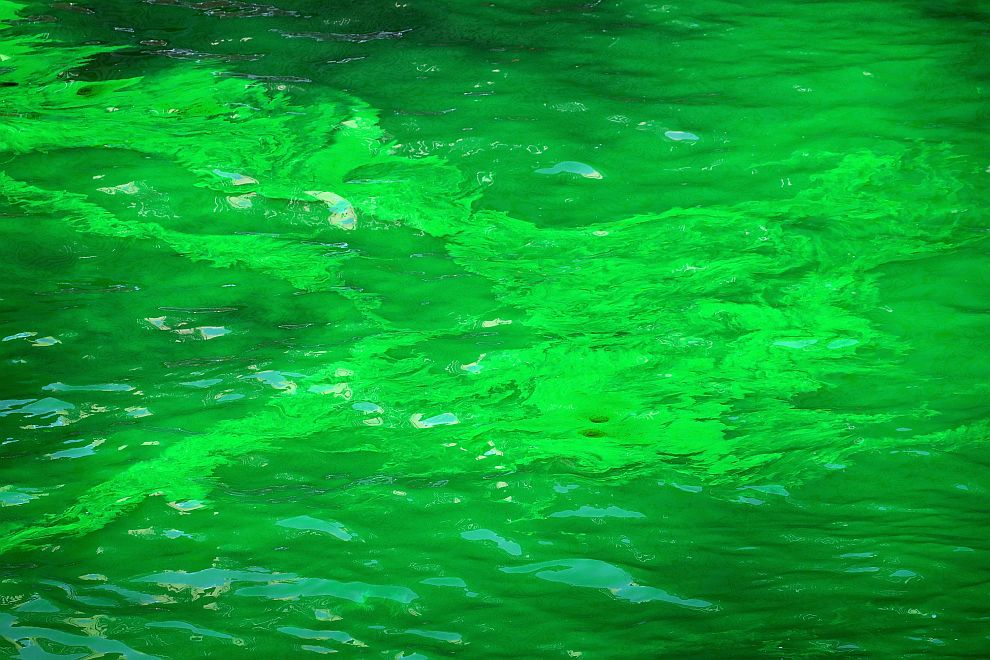 Река Чикаго е зелена в чест на Деня на Свети Патрик