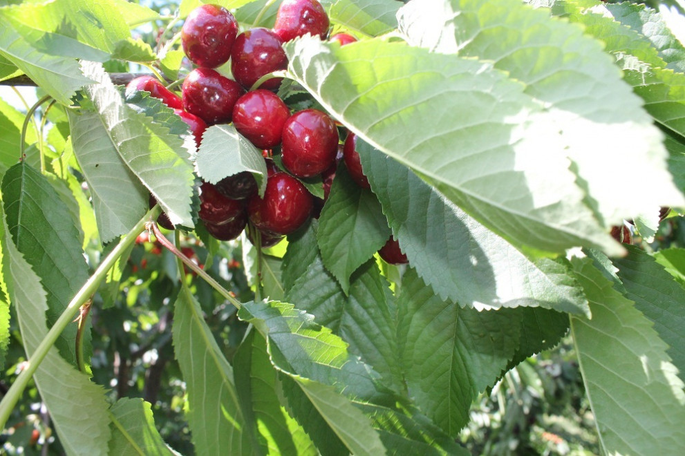 семинар в Кюстендил