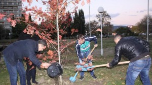 залесяване