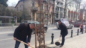 залесяване