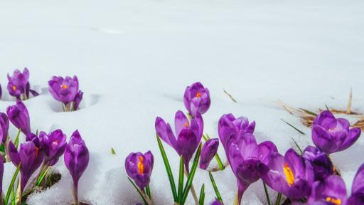 На Първа пролет: Дъжд, сняг и до -6°