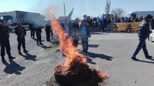 тютюн производители протест