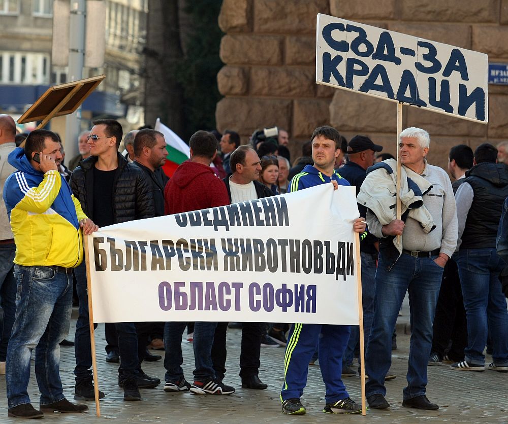 Исканията на животновъдите са да бъде отменена заповедта на служебния министър на земеделието и храните Христо Бозуков, с която се спира кандидатстването по мерките за евроекология и биоземеделие, а причината тази заповед да бъде издадена е, че парите са похарчени вече.