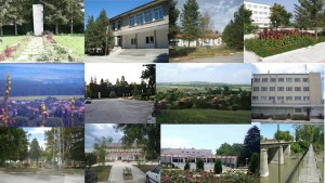 Гроздьово партизани