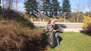 почистване Враца