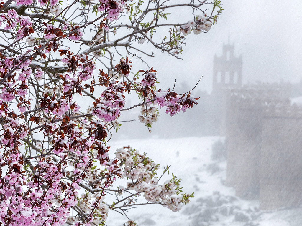 Зимата се завърна в Оренсе, Испания. След високите температури, регистрирани предходната седмица с над 22 градуса, зимата се завърна на Иберийския полуостров с температури под нулата в Галисия