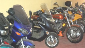 Силистра полиция