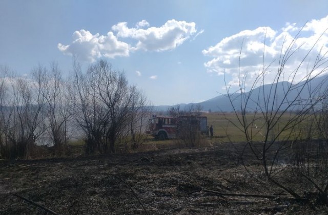 8 декара гори изгоряха в Горно Драглище