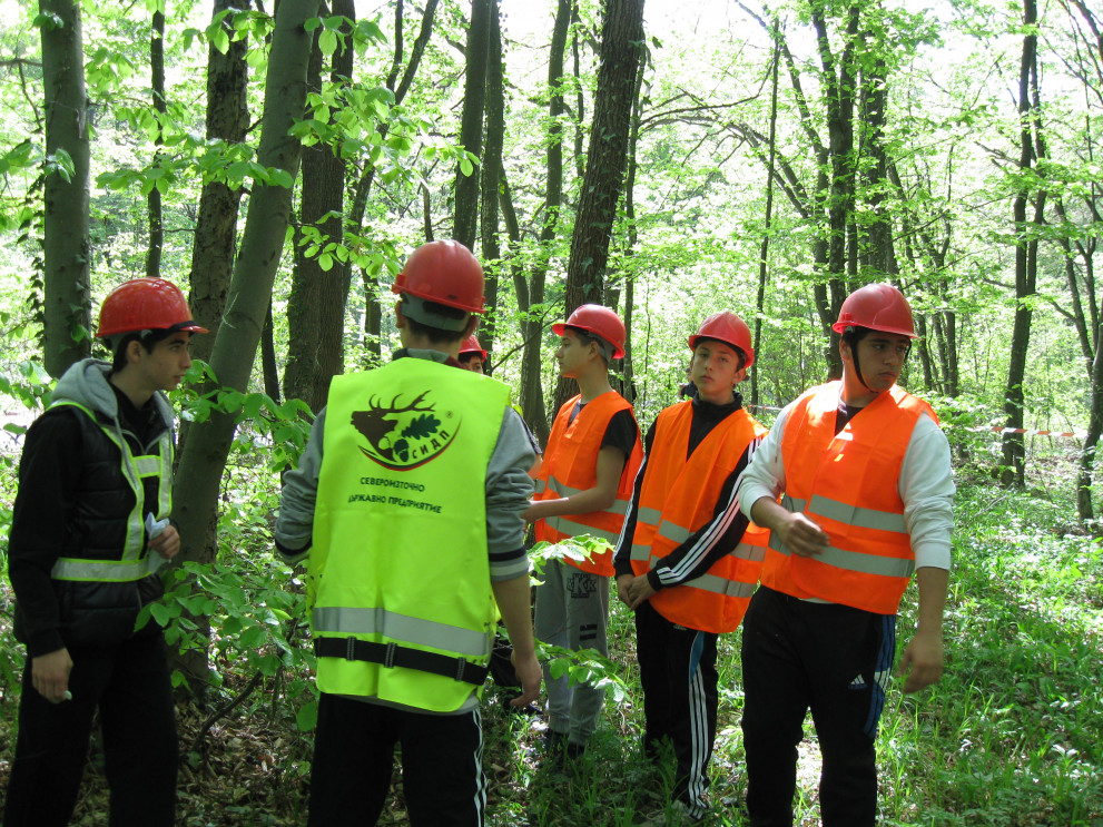 Раздават 150 дръвчета в Шумен в рамките на кампанията „Лесовъд за един ден“