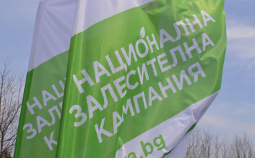 Национална залесителна кампания – пролет 2017 засажда над 50 000 дръвчета