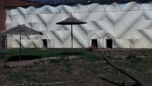 зоопарк лъв