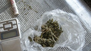 дрога Видин