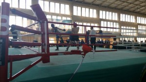 кикбокс Шумен