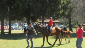 хипотерапия Враца