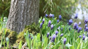 прогноза за времето