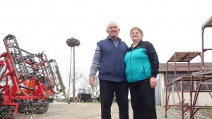 щъркели Шумен