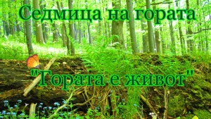 седмица