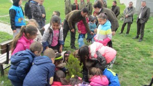 Смядово залесяване