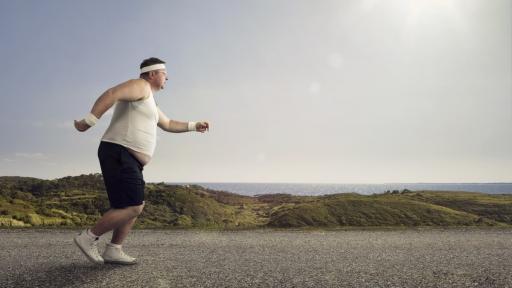  <p>Затлъстяването - няма хапче или ефикасна диета</p> 