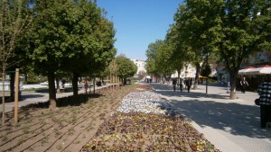 pleven