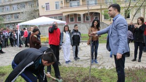Димитровград дръвчета фиданки парк