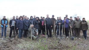 Залесяване