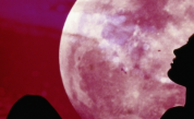 <p>Зрелищно небесно шоу: Розова луна и метеоритен дъжд&nbsp;</p>