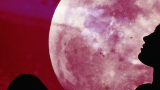 <p>Зрелищно небесно шоу: Розова луна и метеоритен дъжд&nbsp;</p>