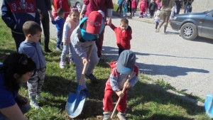 Смядово дръвчета