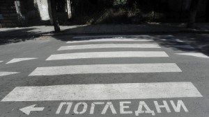 зебра