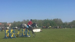 конни състезания Хайредин