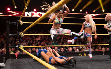 Кеч мацки вилняха на ринга