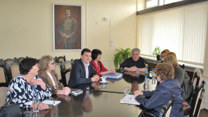 тошево проект