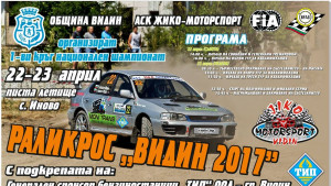 Раликрос Видин