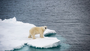 Арктика замърсяване северен ледовит океан