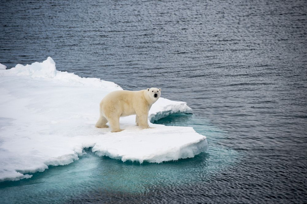 Замърсяването с пластмаса в Арктика изненадва учените