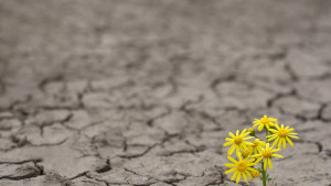 Ден на Земята