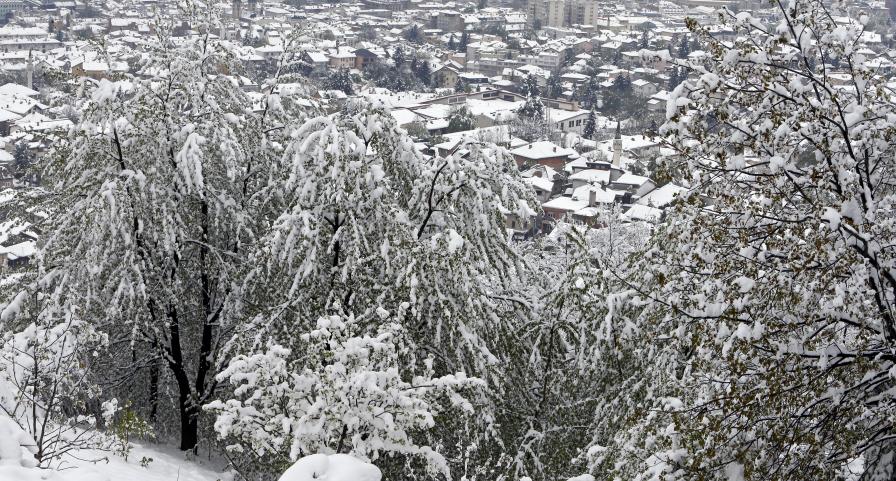 студ сняг Европа